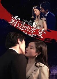 在线观看宠爱,温情治愈，宠物与人类的情感纽带